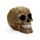 Totenkopf mit Krokodilhaut-Effekt