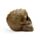 Totenkopf mit Krokodilhaut-Effekt