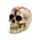 Totenkopf mit Reißverschluss am Kopf und auslaufenden Gehirn 