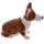 Queen und Corgi Keramik Salz- & Pfefferstreuer Set