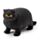Dehnbares dicke Katze Spielzeug