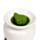 Christmas Botanicals Weihnachten Blumen Winter Spice Wachs Melts 5er-Set 