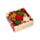 Christmas Botanicals Weihnachten Blumen Winter Spice Wachs Melts 5er-Set 