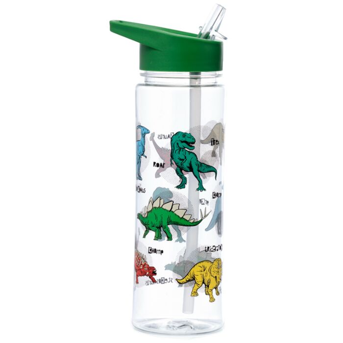 Dinosauria Dinosaurier Bruchsichere Wasserflasche 550ml