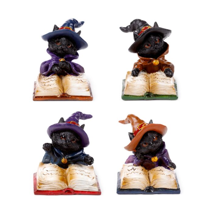 Witches Black Cat Katze liest aus einem Zauberbuch