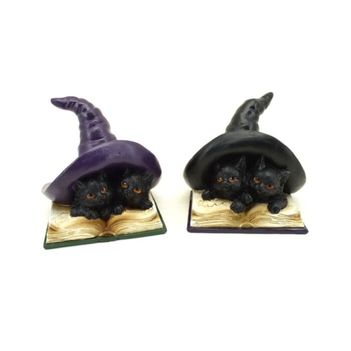 Witches Magische schwarze Katzen lernen Zaubersprüche