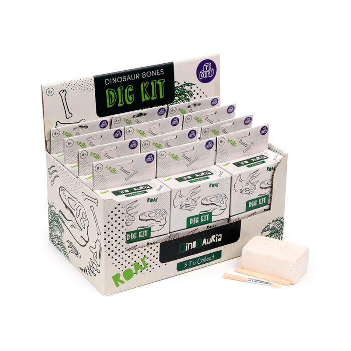 RAWR Dinosaur Dinosaurier-Schädel Ausgrabungsset