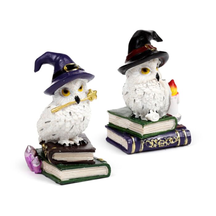 Wise Old Owl Alte, weise, magische Eule auf Zauberbuch