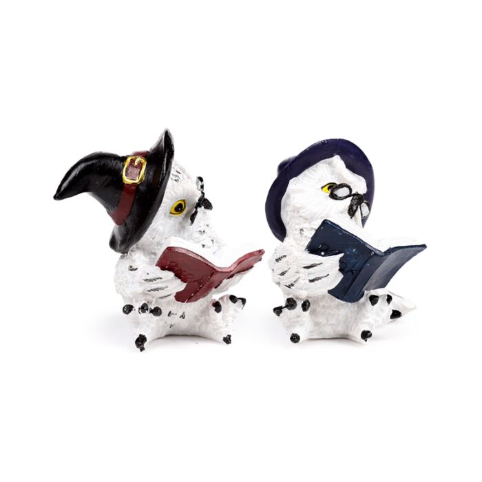 Wise Old Owl Alte, weise, magische Eule liest Zauberbücher