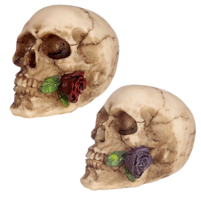 Totenkopf mit Rosen zwischen den Zähnen