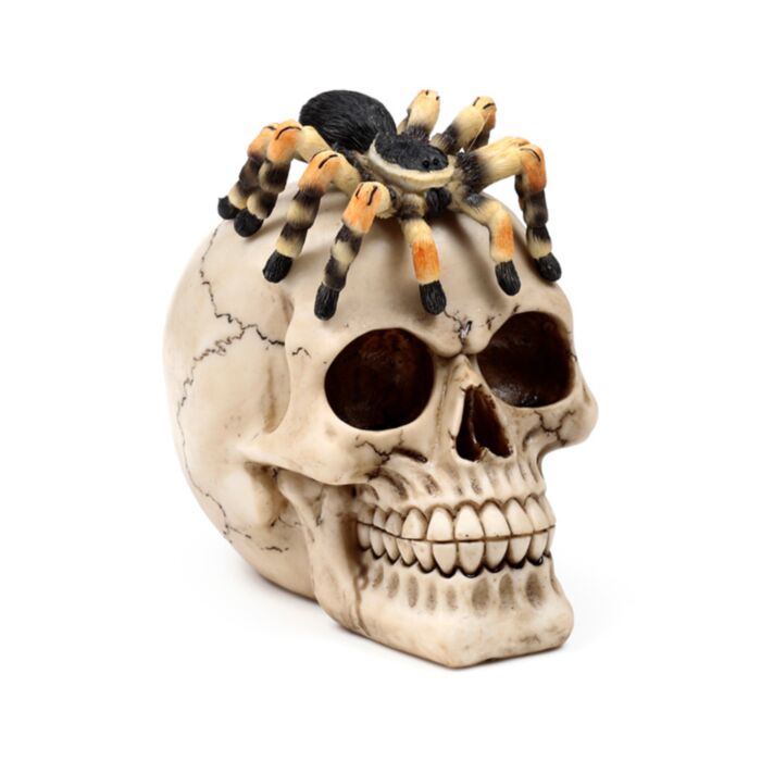 Totenkopf mit Spinne