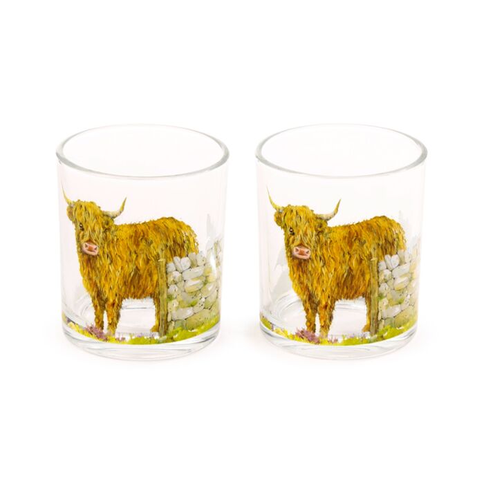 Jan Pashley Highland Coo Kuh Trinkgläser  2er-Set  250ml