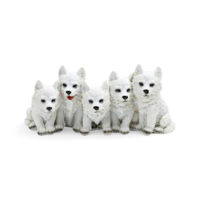5 freche Wolfswelpen