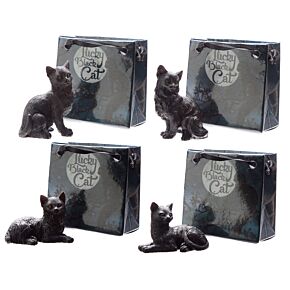 Lucky Black Cat Katze in Mini-Geschenktasche