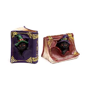 Witches Black Cat Spitzbübische Schwarze Katze aus Zauberbuch kletternd Witches Black Cat Spitzbübische Schwarze Katze aus Zauberbuch kletternd