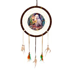 Lisa Parker Hüter der Zaubersprüche Eule Traumfänger 33cm