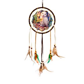 Lisa Parker Hüter der Zaubersprüche Eule Traumfänger 16cm