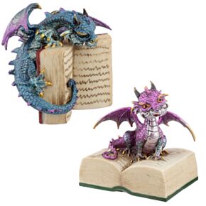 Elements Drache mit Buch