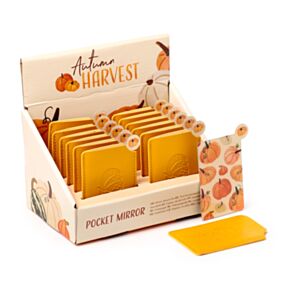 Autumn Harvest Herbst Kürbis Taschenspiegel im Etui