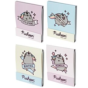 Pusheen the Cat Katze Pusheenicorn Nagelfeilen-Set im Streichholzbriefchen