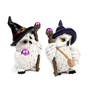 Wise Old Owl Alte, weise, magische Eule auf magischer Reise Wise Old Owl Alte, weise, magische Eule auf magischer Reise