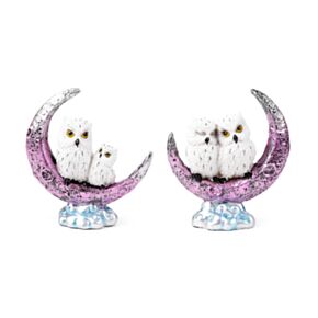 Wise Old Magical Owl Alte, weise, magische Eule Mondsichel 