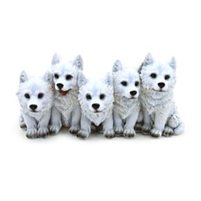 5 freche Wolfswelpen