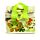 Tropical Frogs Tropen Frosch Frösche RPET Kühltasche Lunch