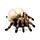 Totenkopf mit Spinnenbeinen