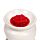 Christmas Botanicals Winter Spice Winterduft Weihnachtliche Wachs Melts 5er-Set 