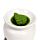 Christmas Botanicals Winter Spice Winterduft Weihnachtliche Wachs Melts 5er-Set 